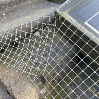 solar-panel-bird-mesh-kilmarnock-ayrshire-qilkclusmj1l2bnrwvpyuin1vqmq7kf769d65qzix4